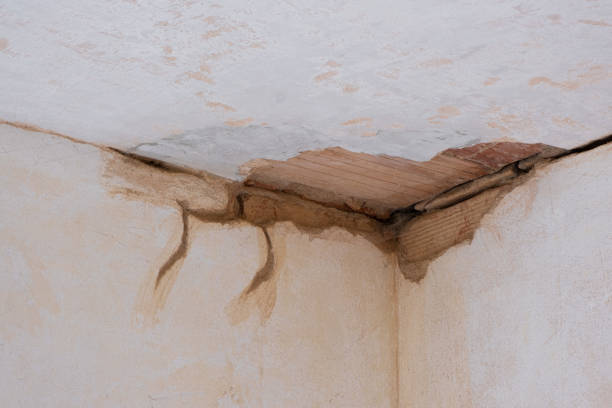 Best Emergency water damage restoration  in Lago Vista, TX