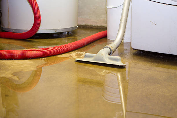 Best Fire Damage Restoration  in Lago Vista, TX